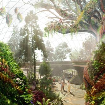 Concept art of The Elder Tree Eden Project Morecambe